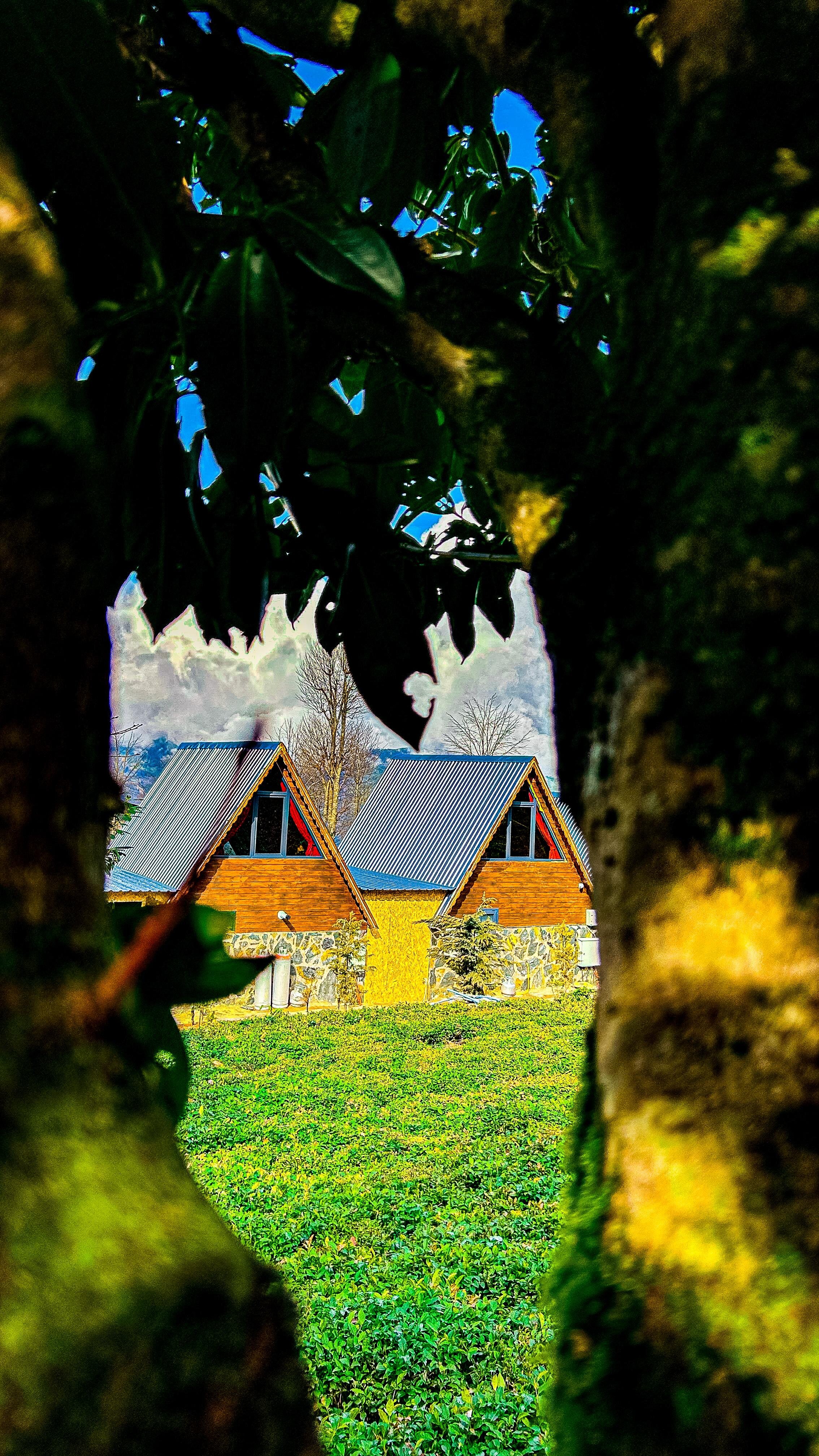 Doğallife Bungalov galeri 10
