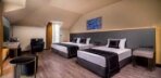 Standart Panaromic Room Görseli