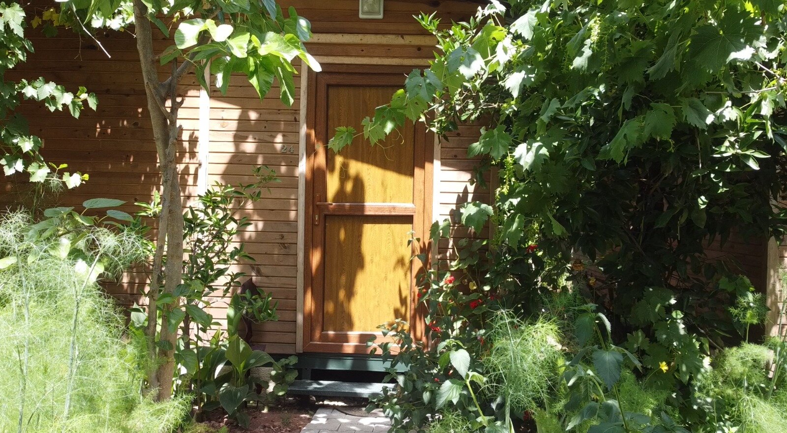 Olimpos Mercan Bungalow galeri 6