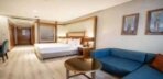 Deluxe King Room Görseli