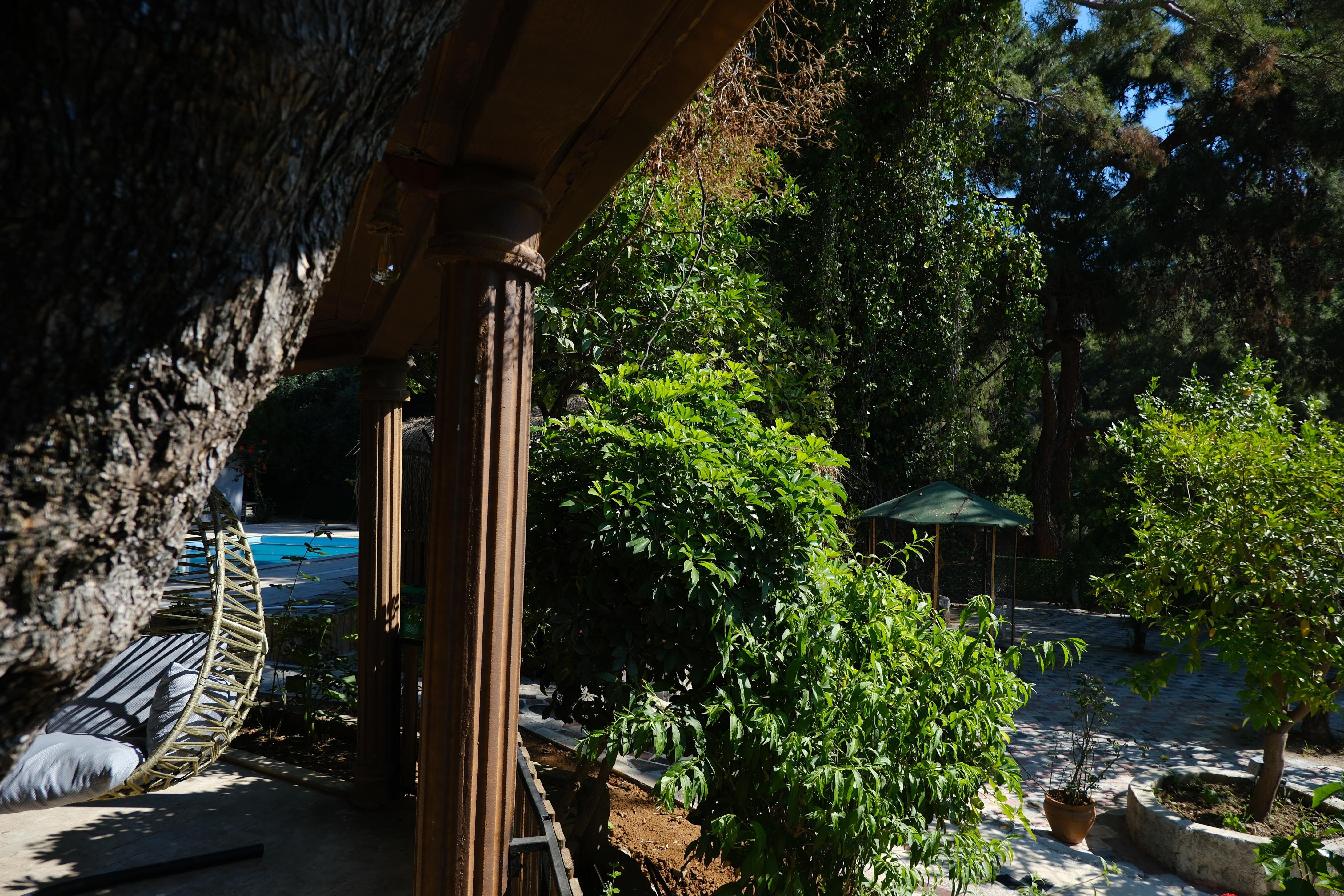 Forest Garden Pansiyon galeri 4