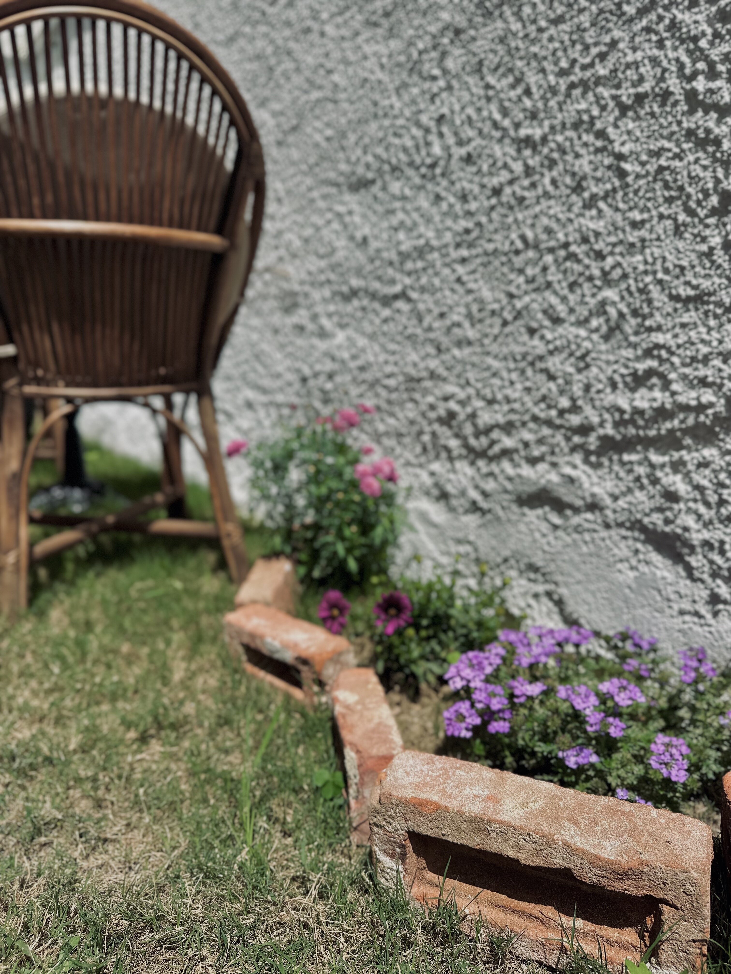 Garden Suite