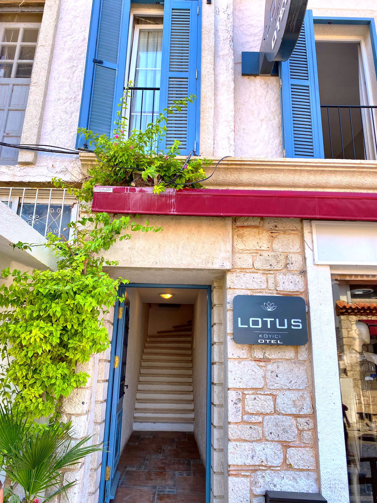 Lotus Köyiçi Alaçatı
