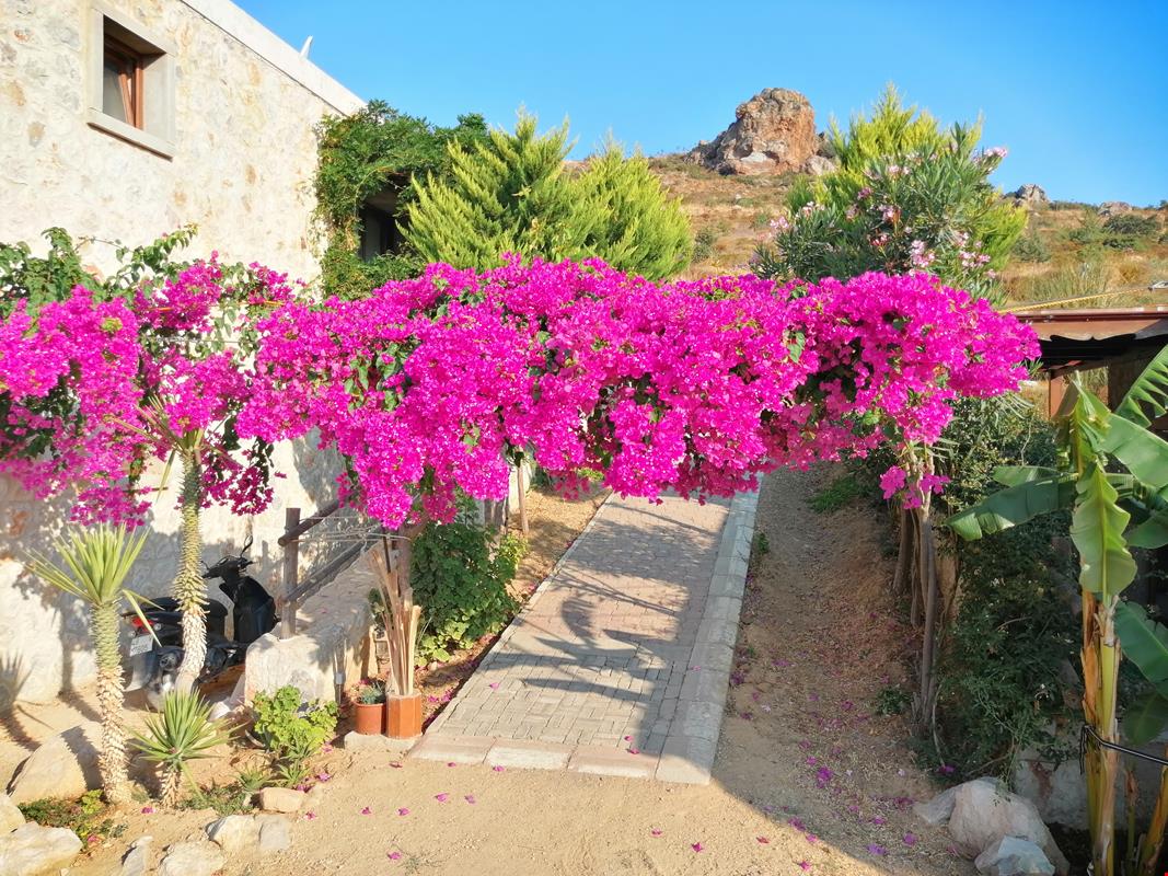 Eco Farm Boutique Hotel