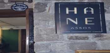 Hane Assos · 35