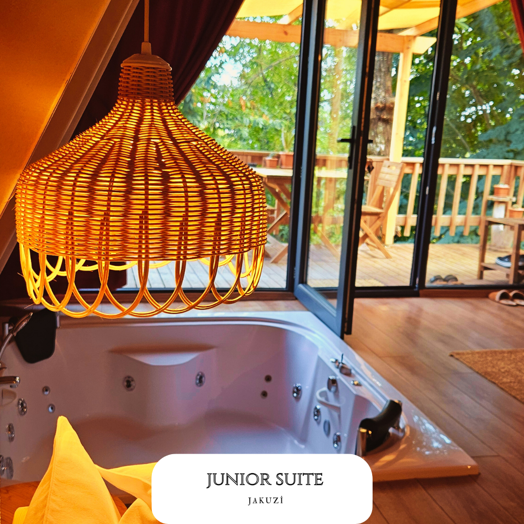 Junior Suite Room