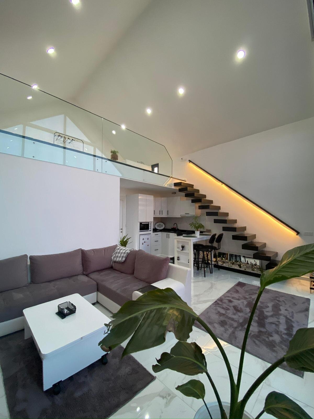 2+1 Villa