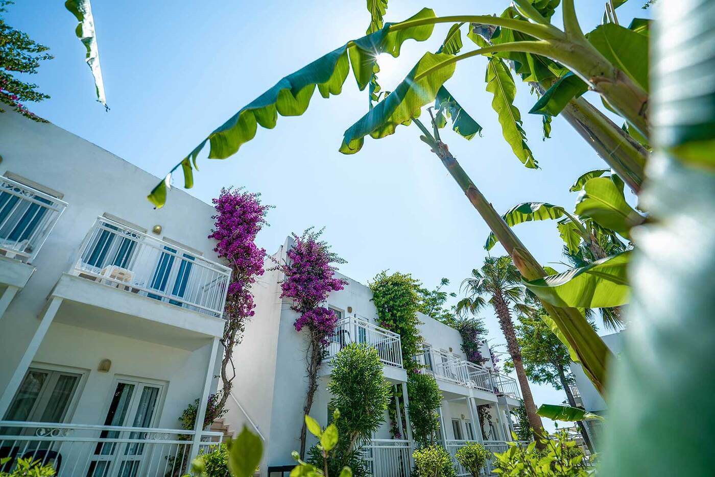 Petunya Beach Resort