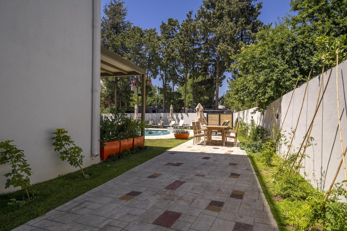 Olive Tree Hotel