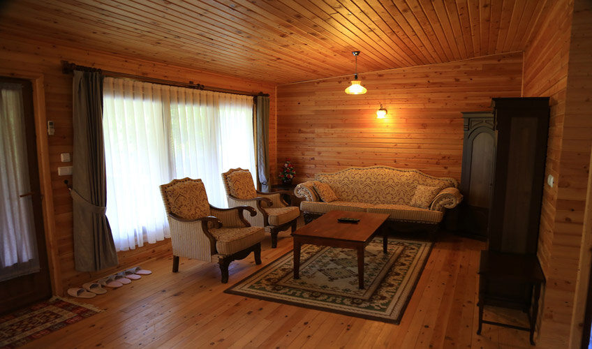 Villa Zeytin Çıralı galeri 5