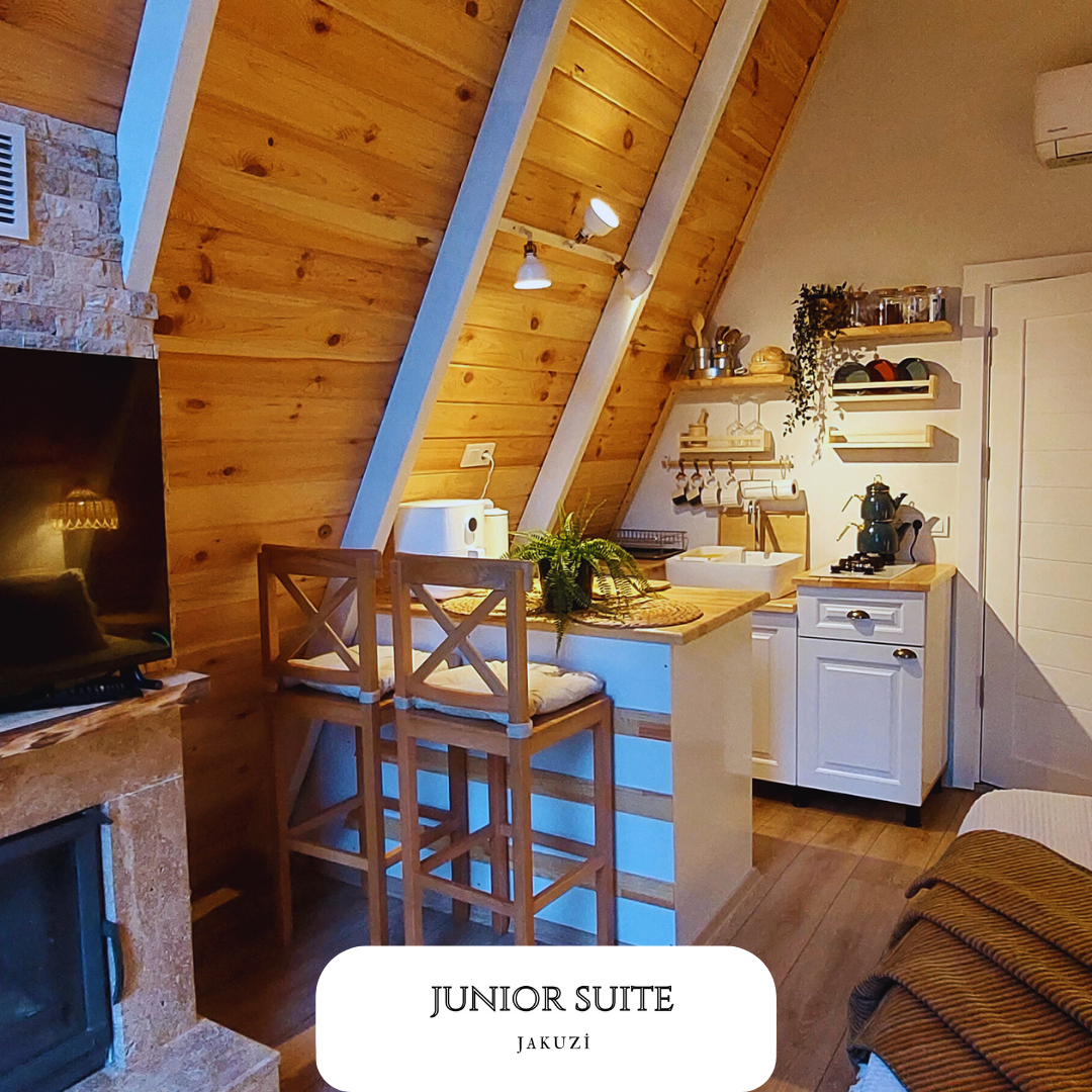 Junior Suite Room