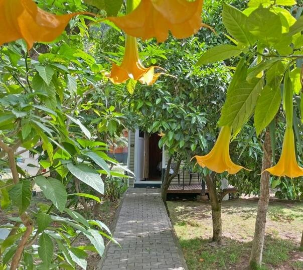 Garden Pansiyon Çıralı galeri 2