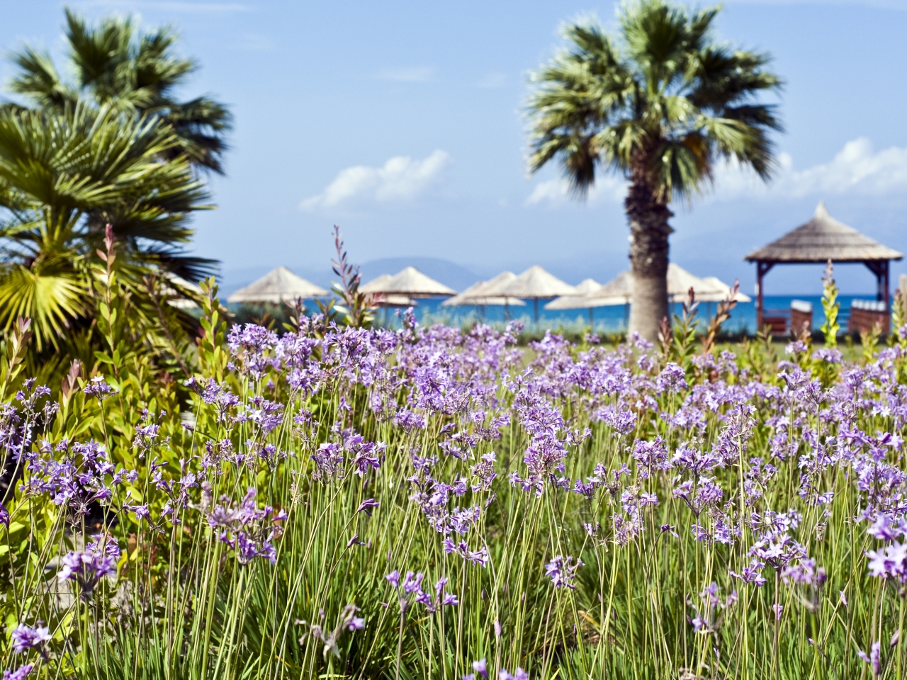 Radisson Blu Resort & Spa Çeşme
