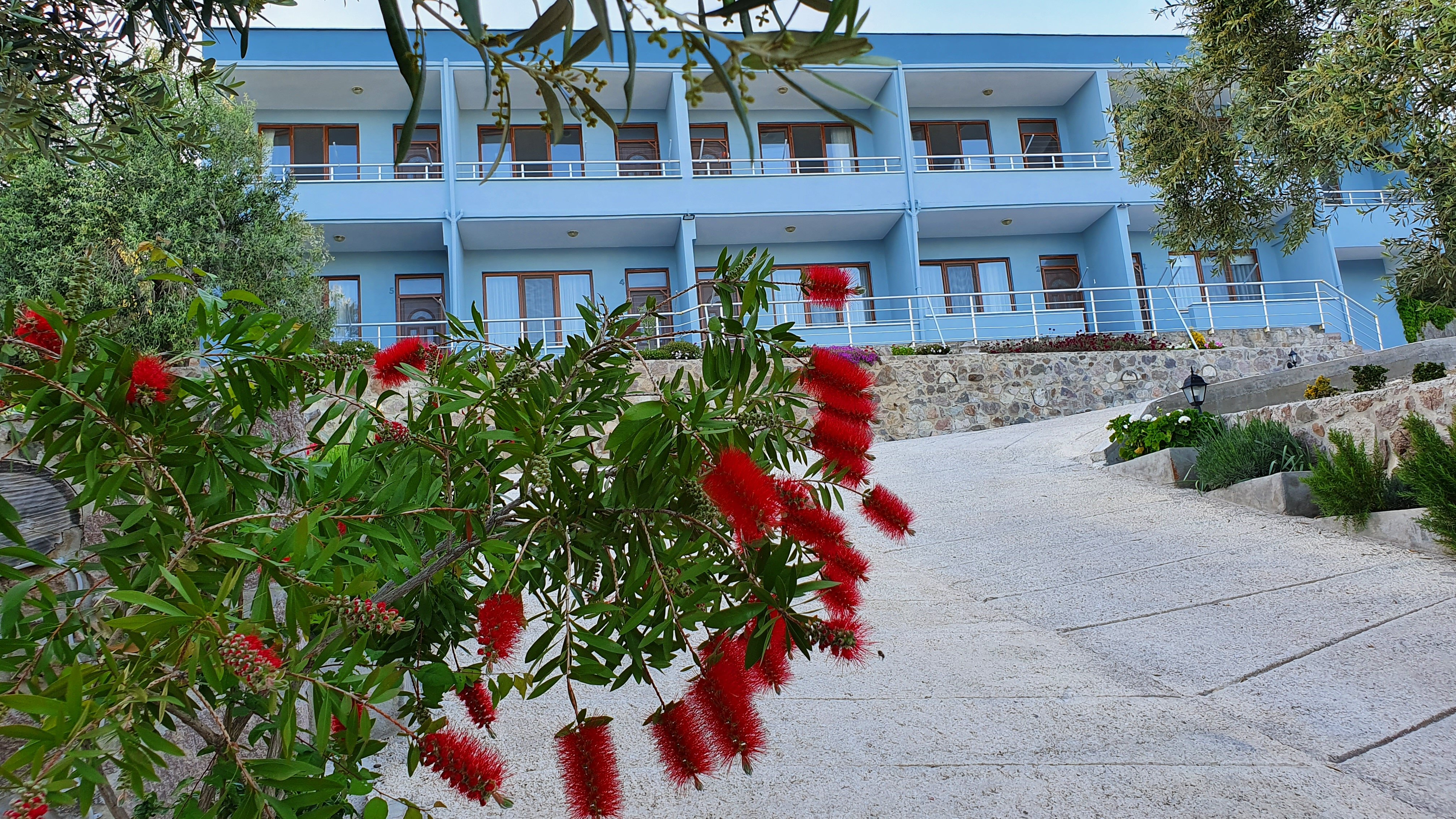 Assos Nazan Motel Restaurant Beach