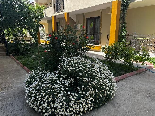 Grand Teoshan Sığacık galeri 7