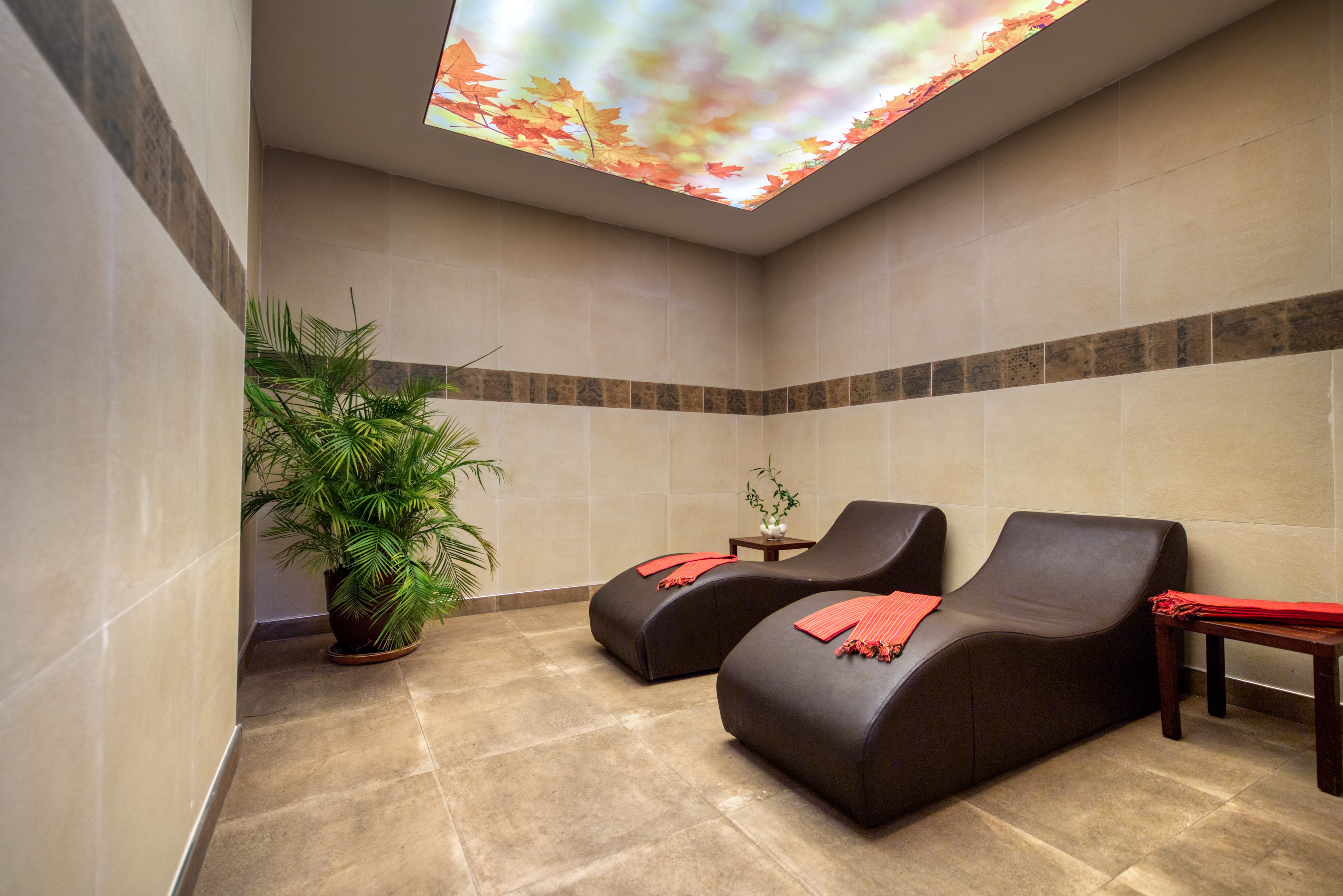 Sealife Lounge Hotel Adults Only