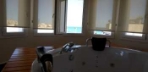 Jakuzili Kral Odası  Görseli