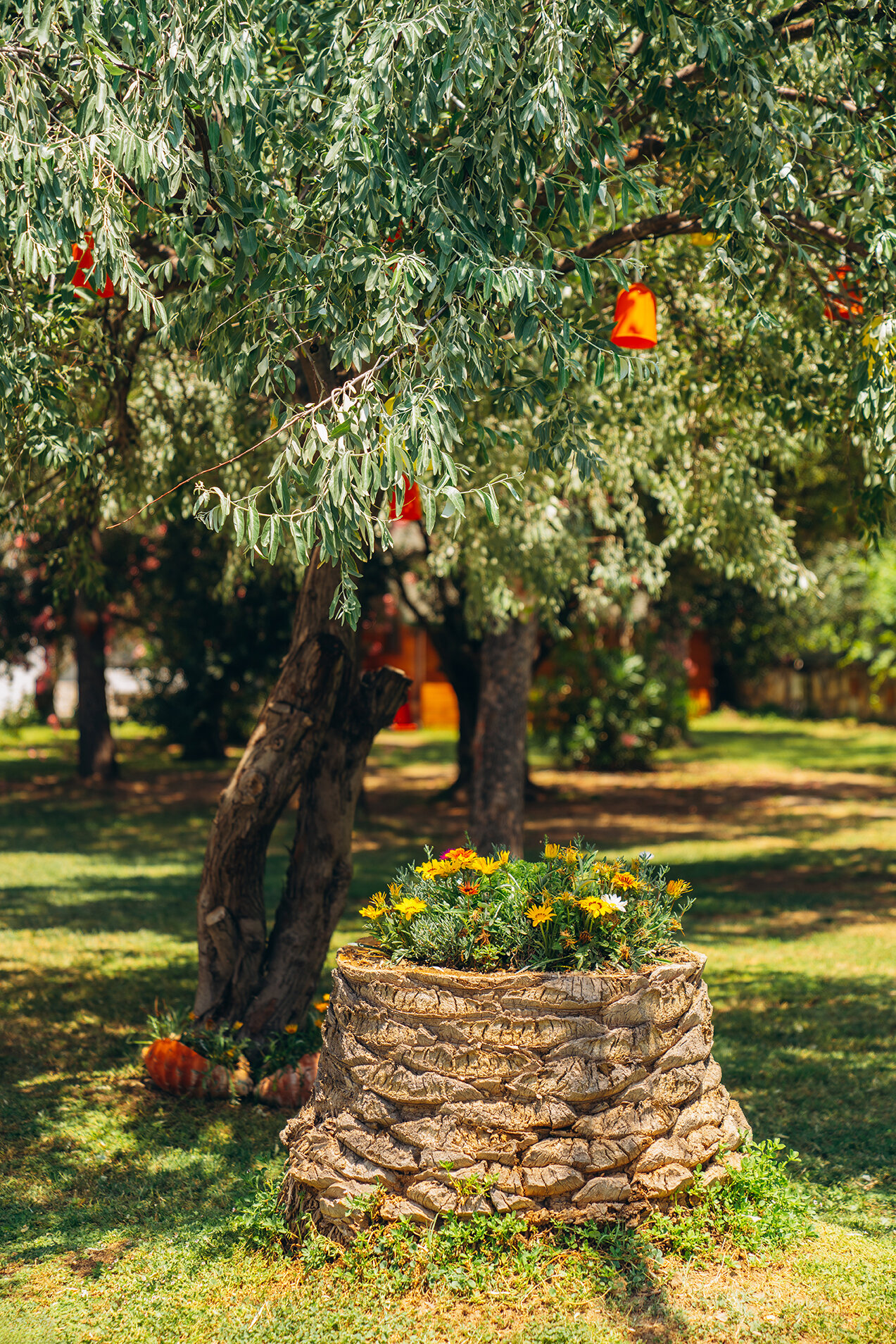 Palm Beach Otel Küçükkuyu · 4