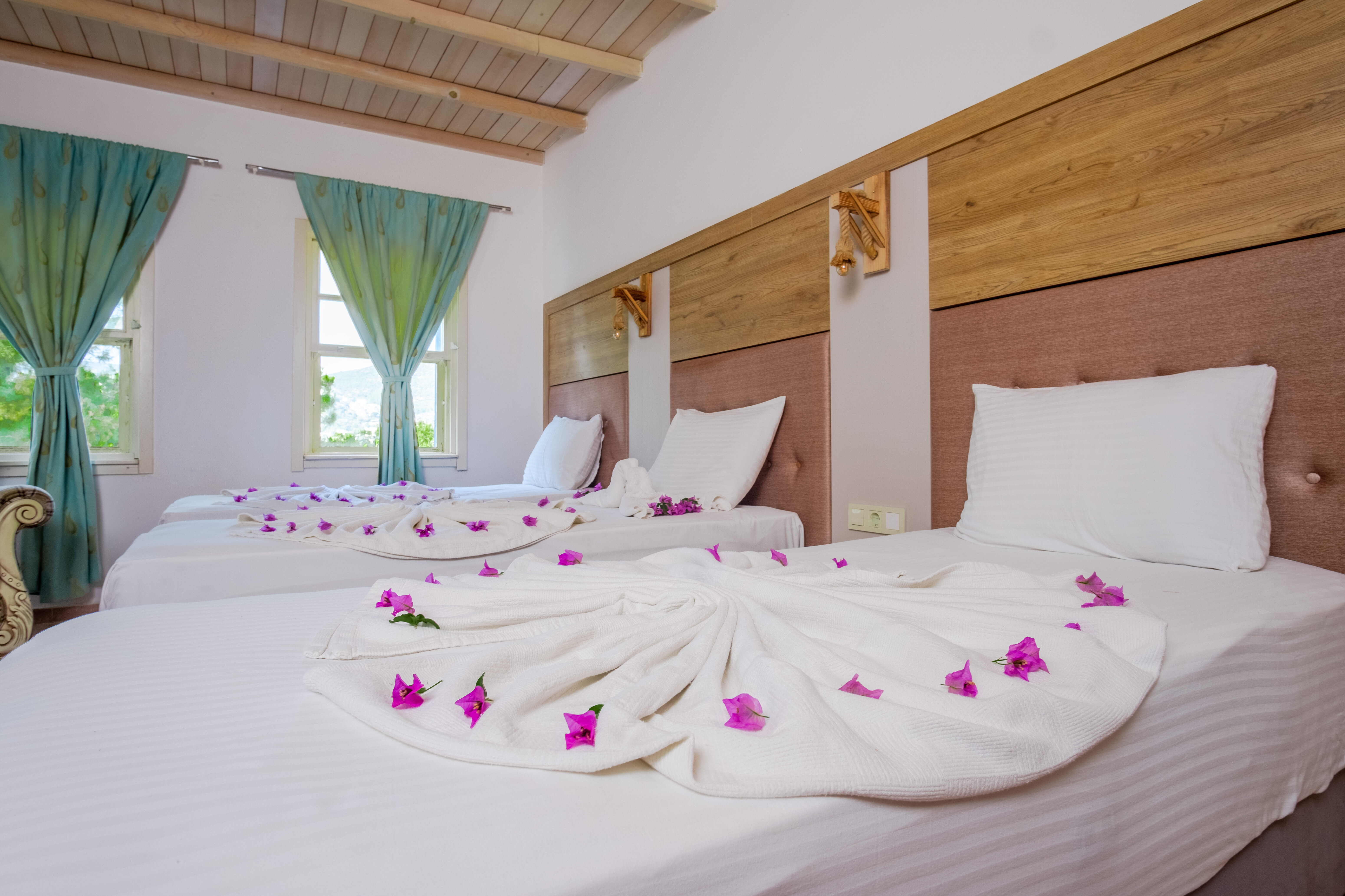 Museum Resort & Spa