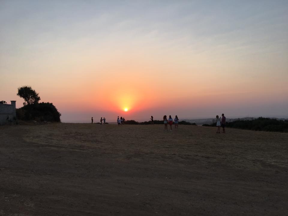 Mavi Restaurant & Bistro