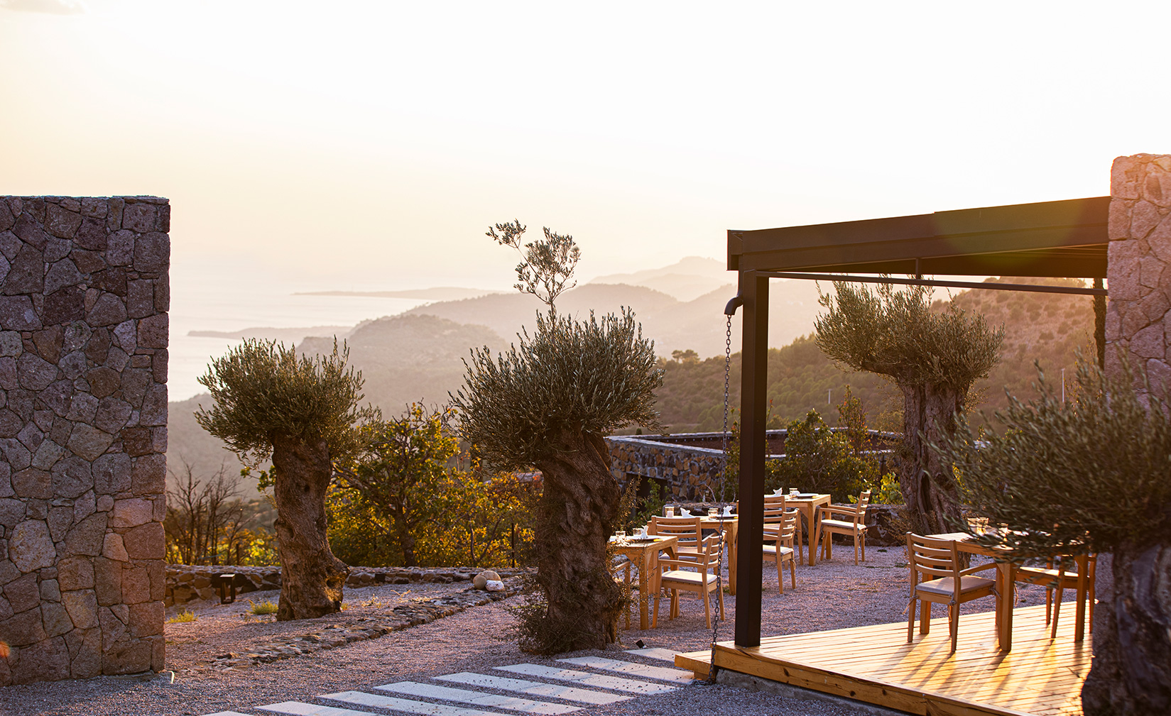 Momos (Adults Only 15+)