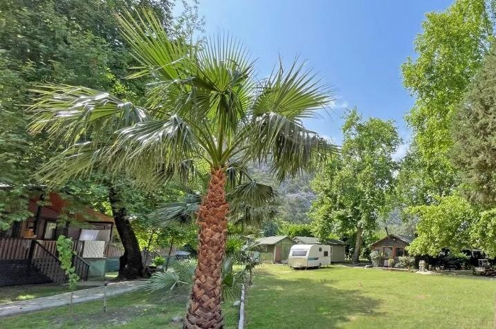 Garden Pansiyon Çıralı galeri 9