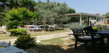 Ege Han Otel · 40