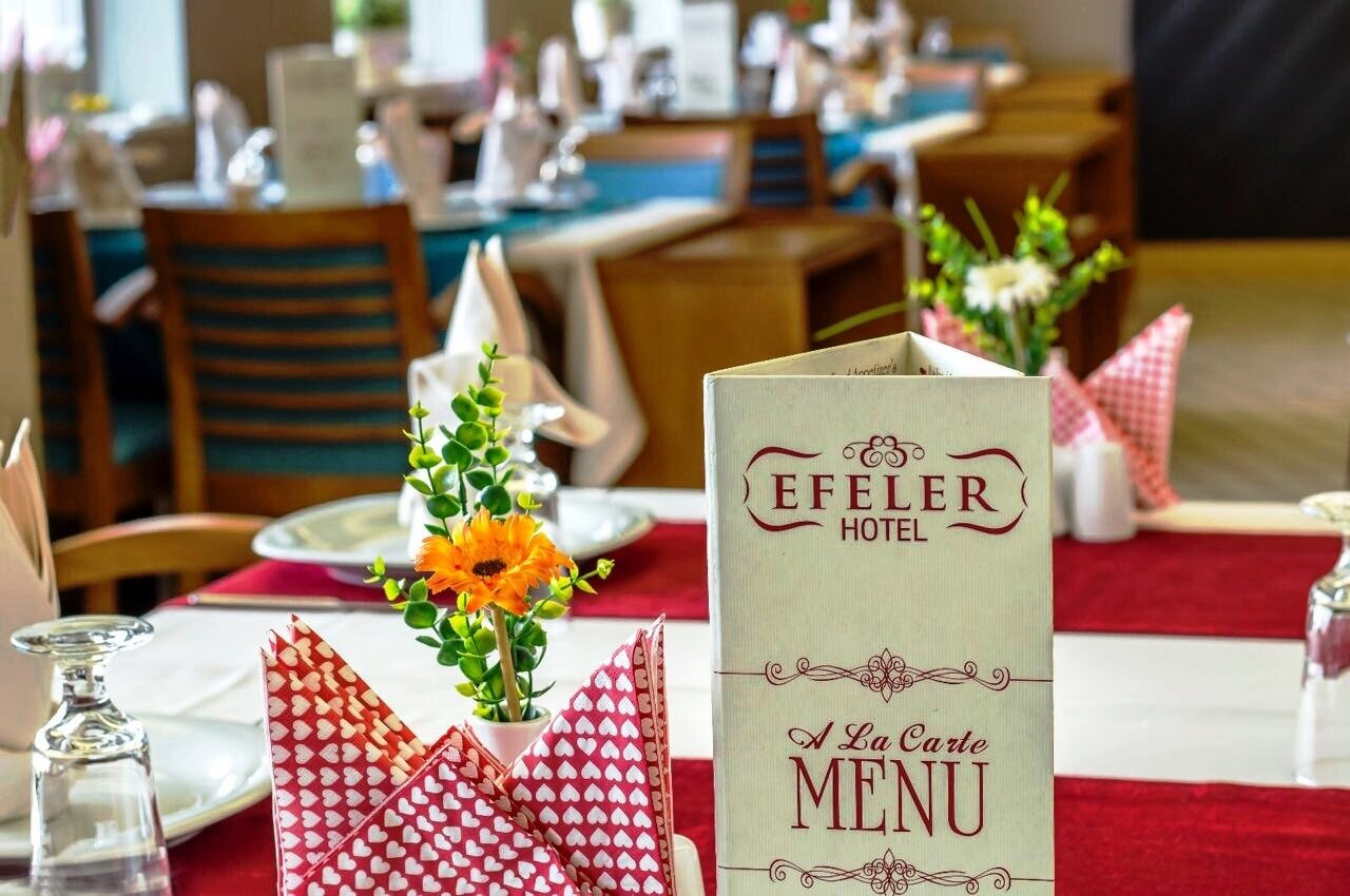 Efeler Hotel Aydın · 9