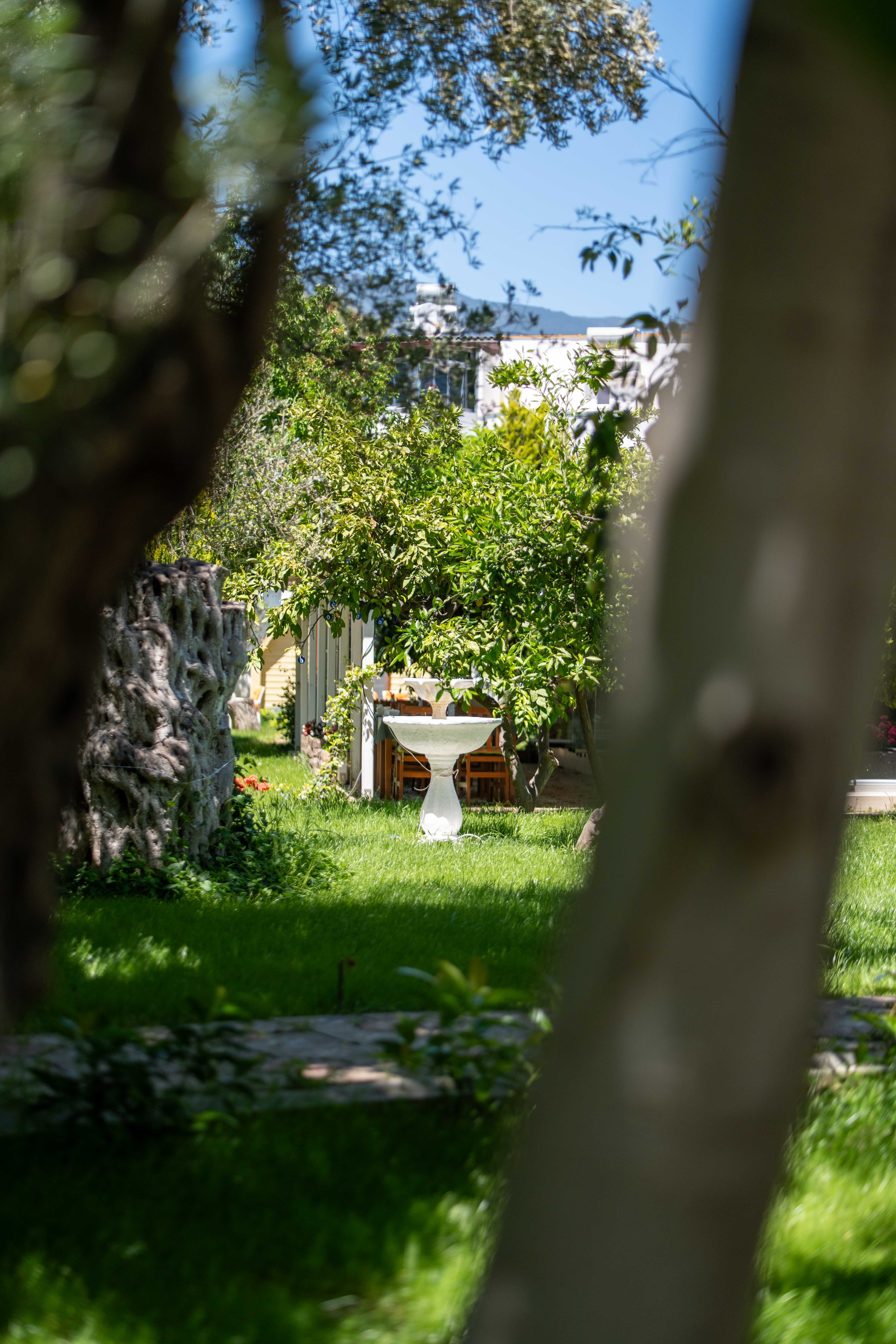 İdavilla Bungalov&Bahce · 24