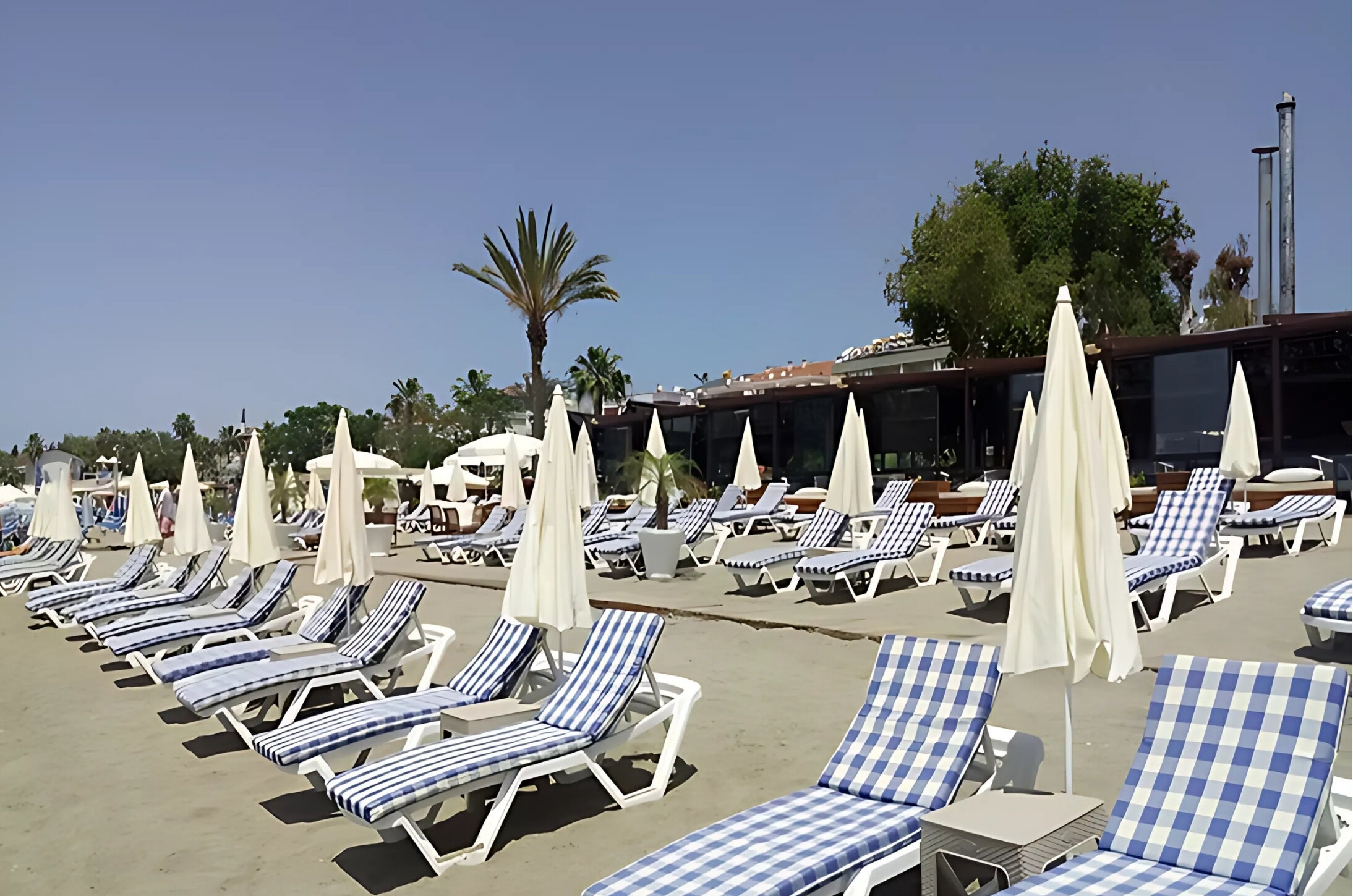 Livane Sun Otel galeri 7