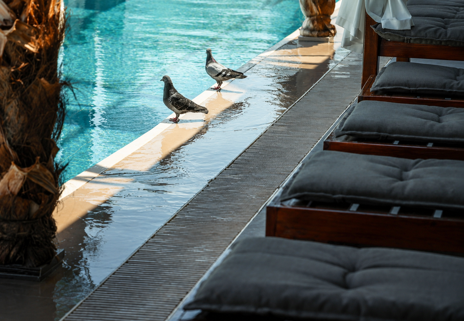 Days Inn & Suites by Wyndham Esenyurt · 74