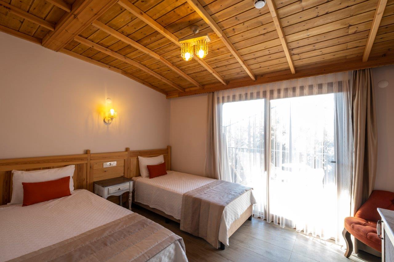 Teras Iki Ayrı Yataklı Oda, Nehir Manzaralı (Teraslı)