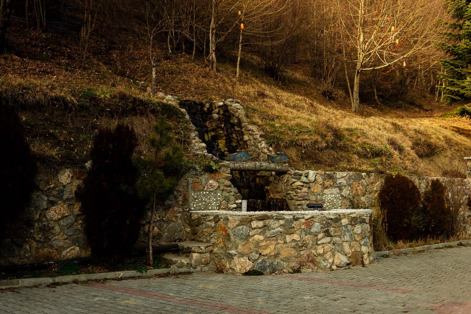Abant Yayla Dağ Evi
