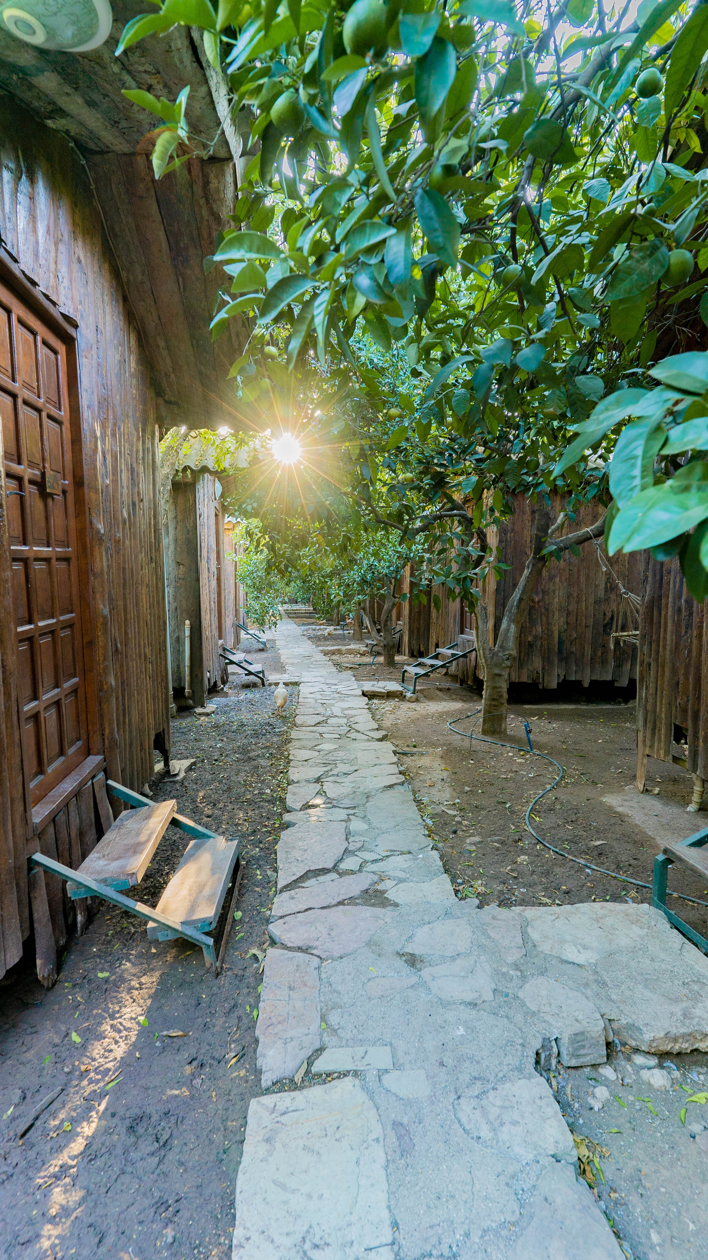 Türkmen Ağaç Evleri Rezervasyon