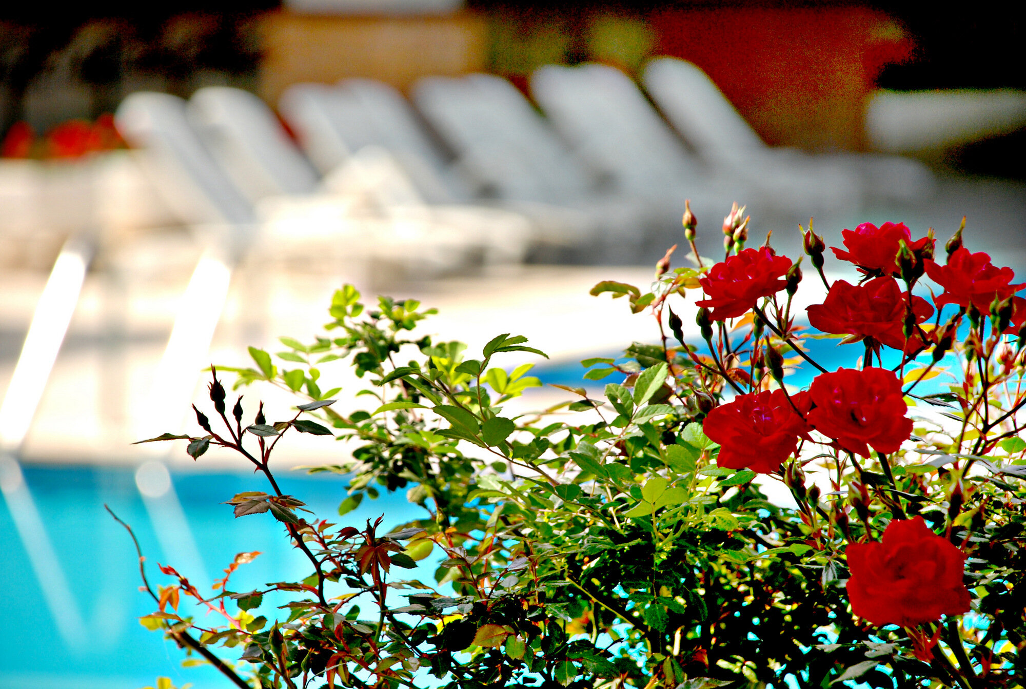 Boulevard Hotel