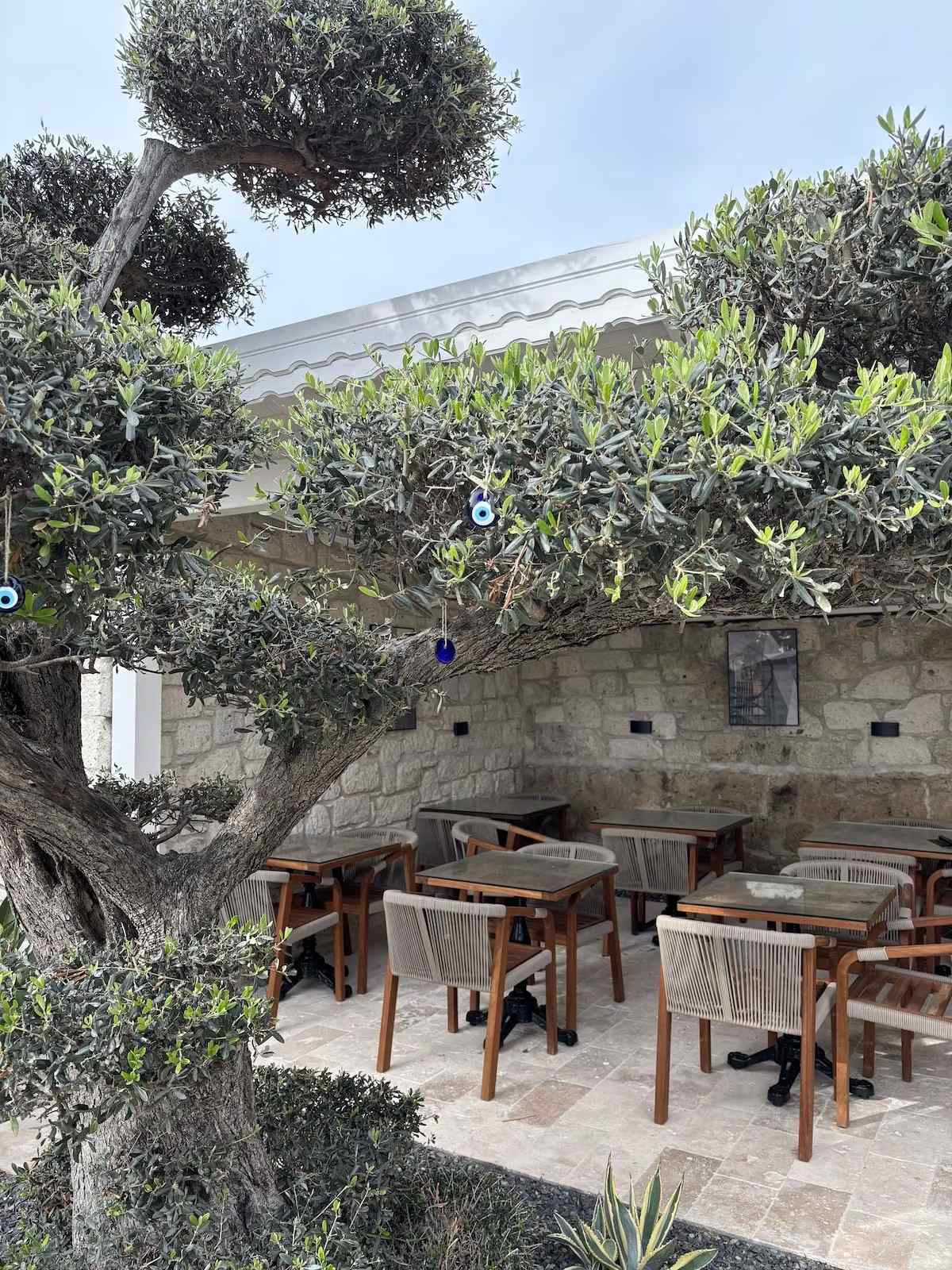 Aura Village Alaçatı  11