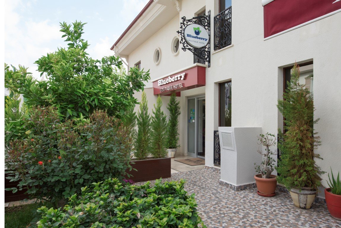 Blueberry Boutique Hotel · 48