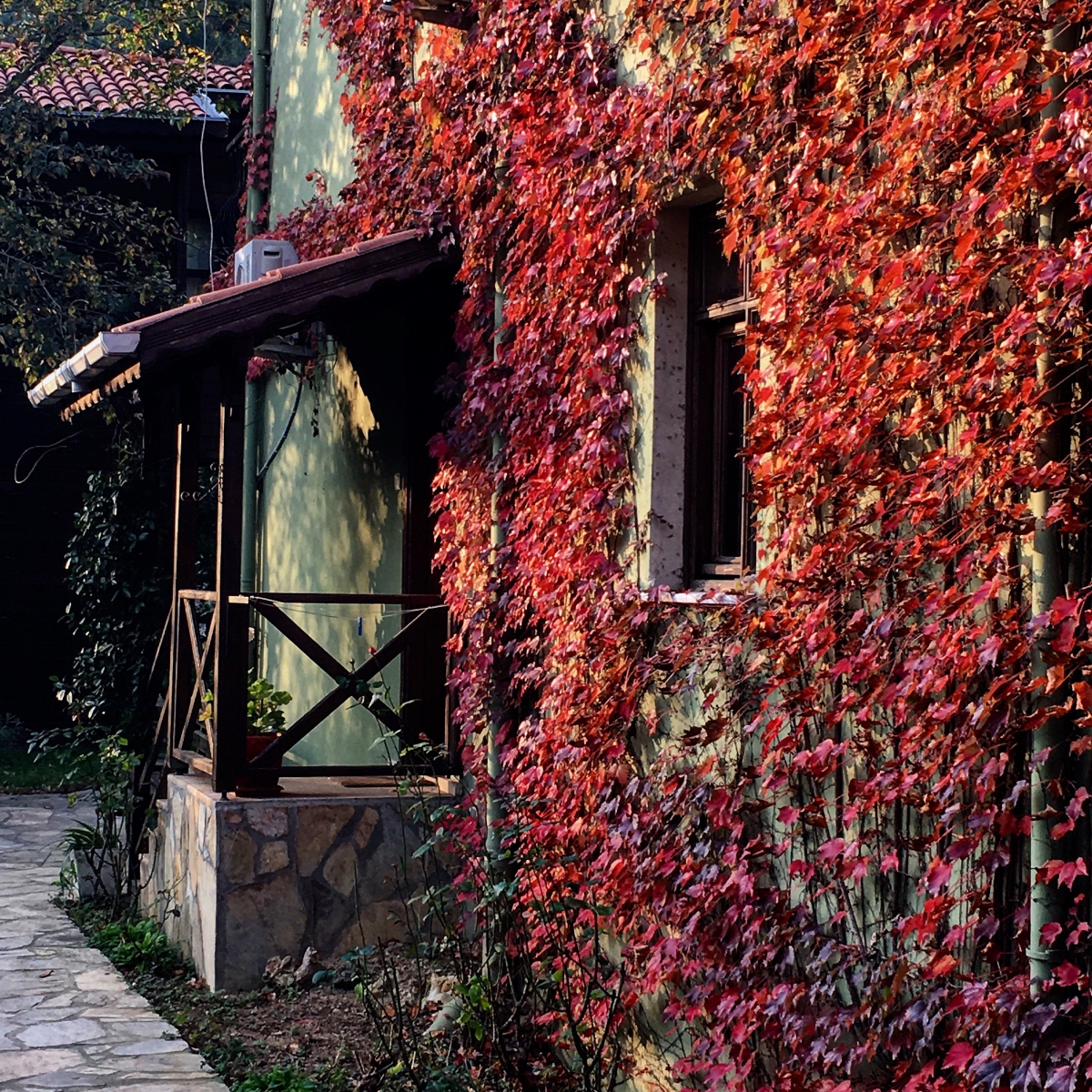 Ağva Piccolo Mondo Hotel (+12 Yetişkin Oteli)