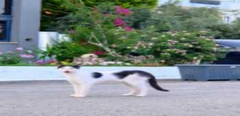 Kupala Beach Hotel · 72