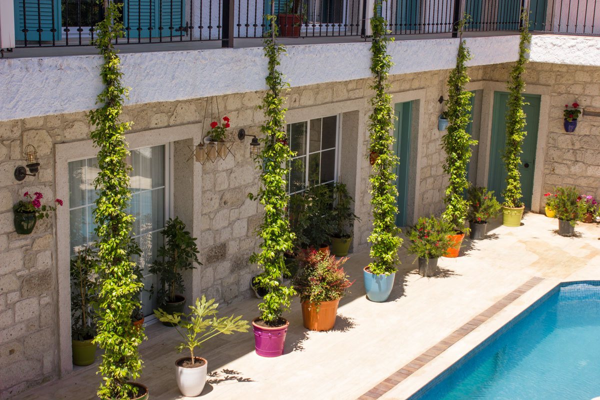 Avlu Alaçatı Butik Otel