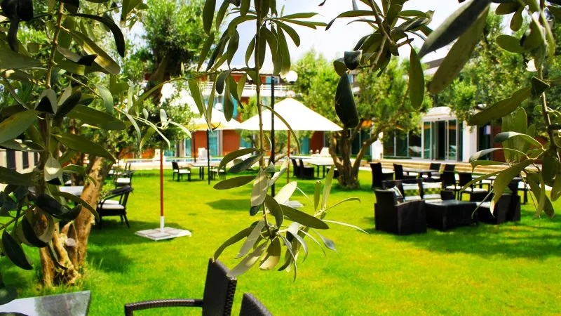 Zeytin Bahçesi Hotel