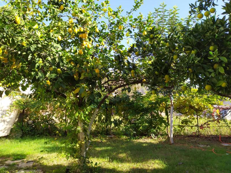 Bucak Apart Hotel Göcek&Inlice Beach