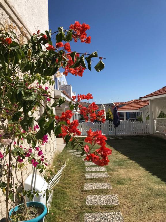 Alaris Alaçatı Butik Otel