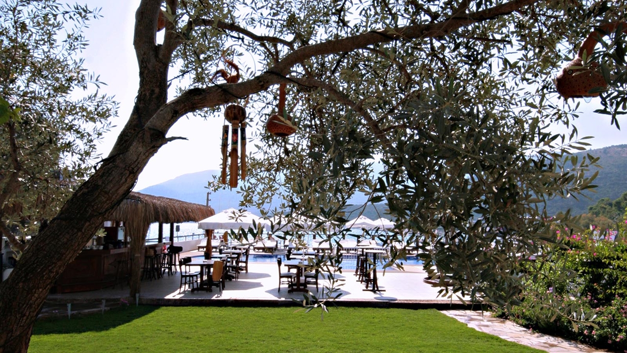 Trendlife Hotels Torba