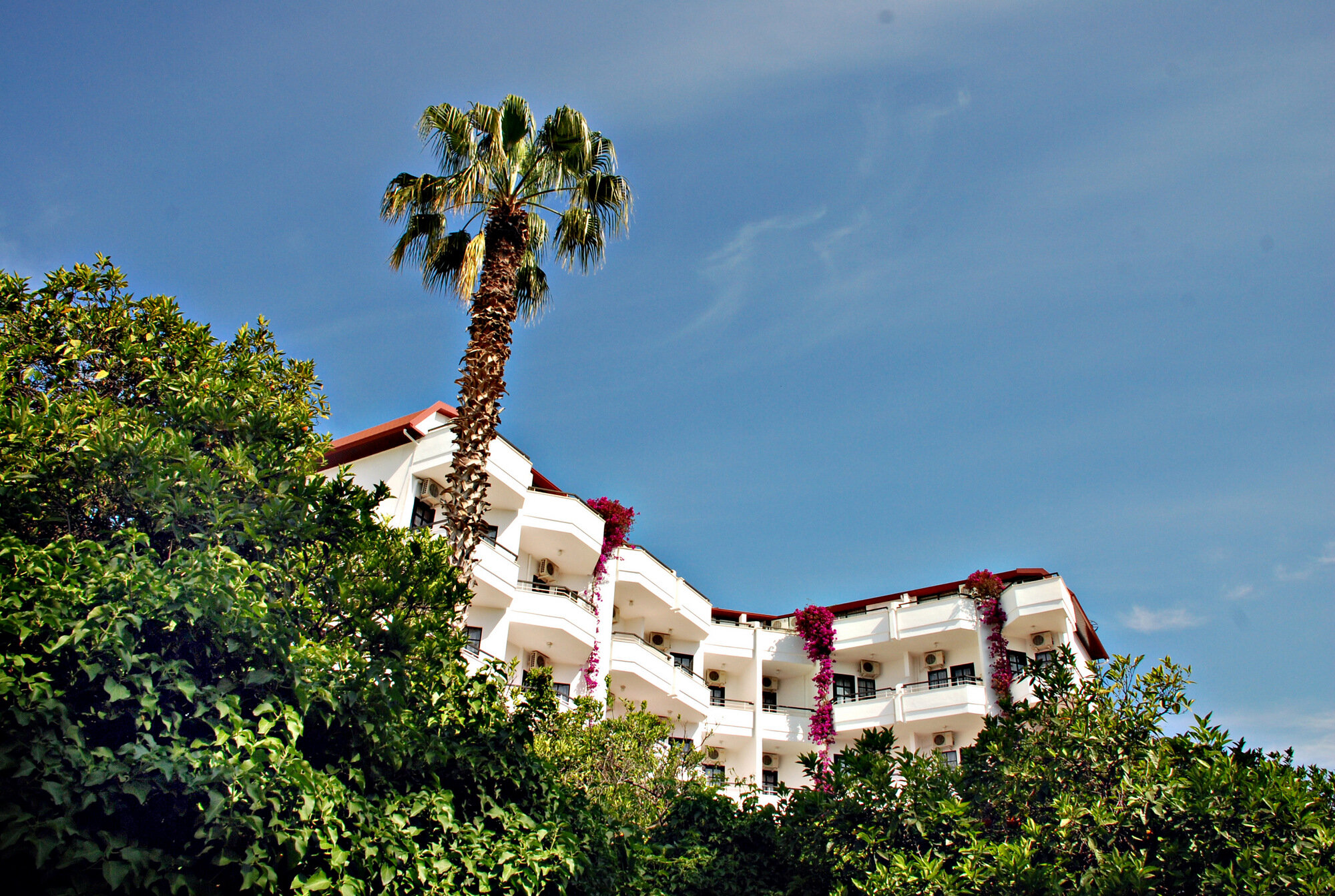 Boulevard Hotel