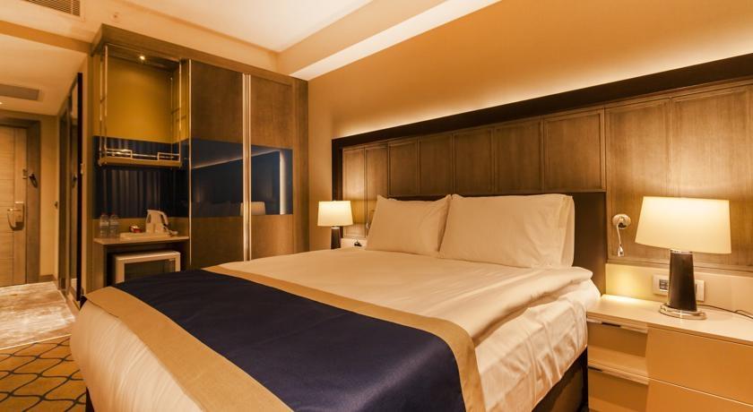 Holiday Inn Kayseri Standard Room French Bed