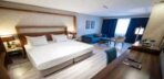Deluxe King Room Görseli