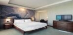 Deluxe King Room Görseli