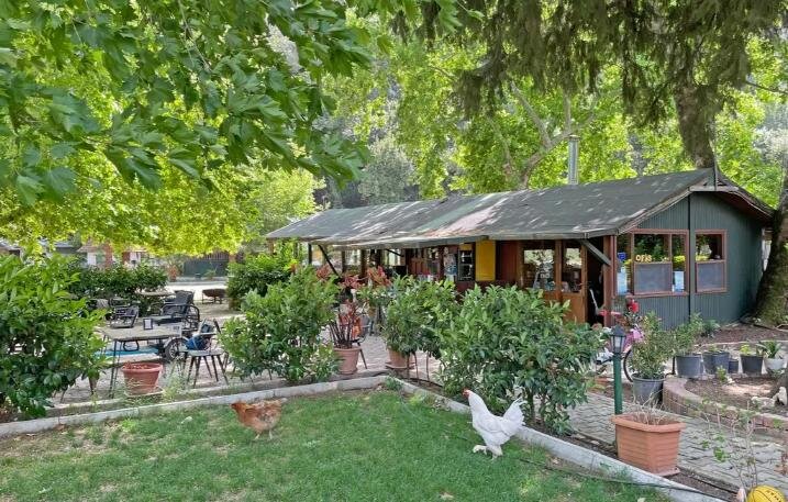 Garden Pansiyon Çıralı galeri 5