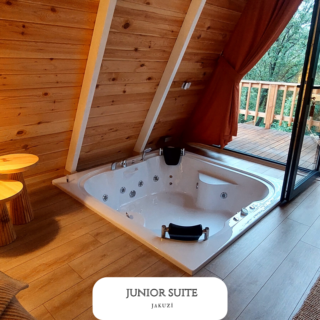 Junior Suite Room
